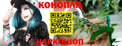 стафф Нальчик