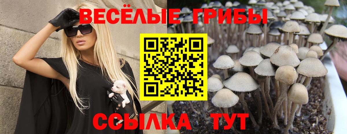 Галлюциногенные грибы MAGIC MUSHROOMS Тулун