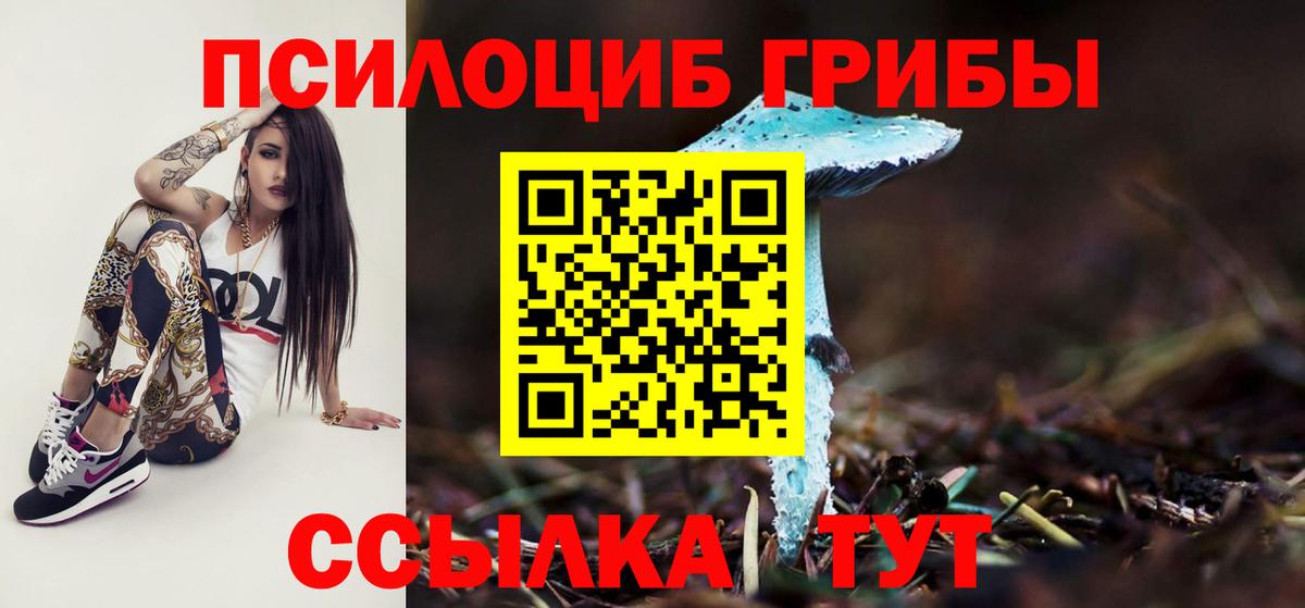 Галлюциногенные грибы MAGIC MUSHROOMS  Галлюциногенные грибы Cubensis  Тулун  Вход с VPN 